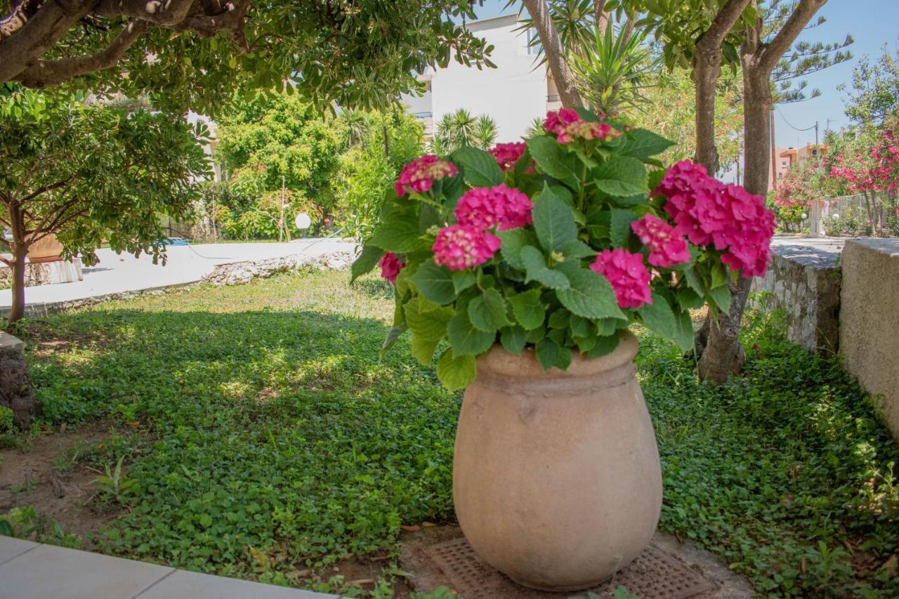 Evdokia Αpartments & Dimitra Village Agia Marina Exterior foto